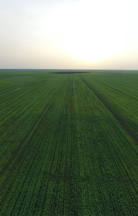 Fields of Opportunity