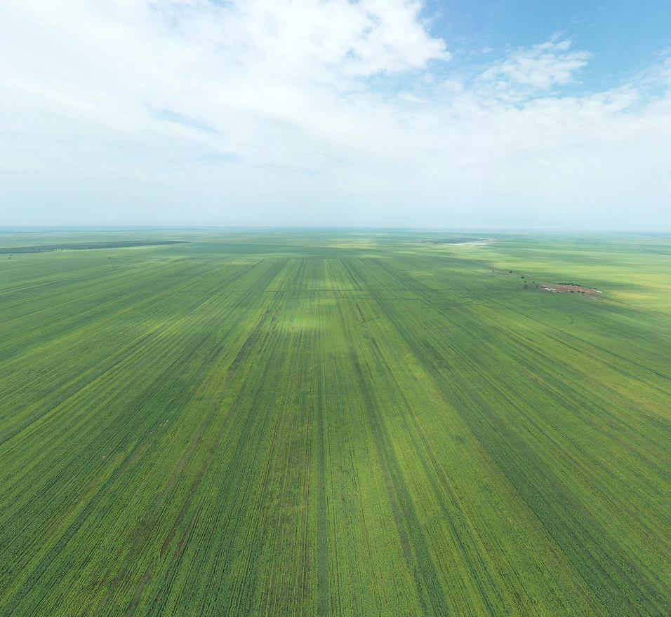 MSG Agriculture